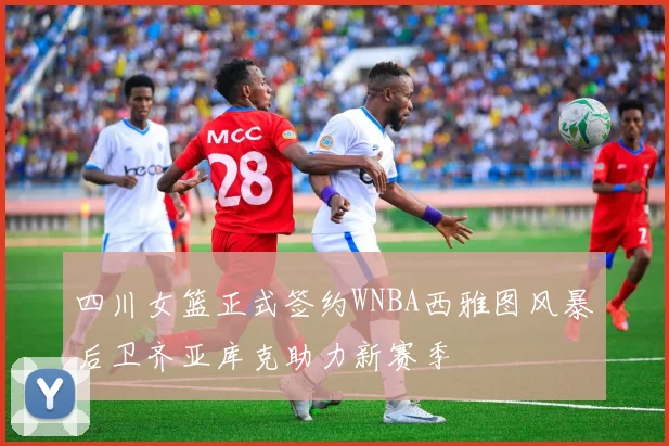 四川女篮正式签约WNBA西雅图风暴后卫齐亚库克助力新赛季
