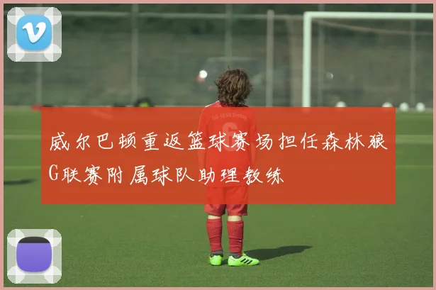 威尔巴顿重返篮球赛场担任森林狼G联赛附属球队助理教练