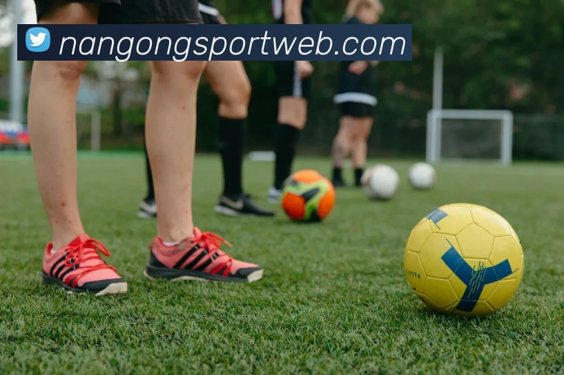 南宫体育平台生态图